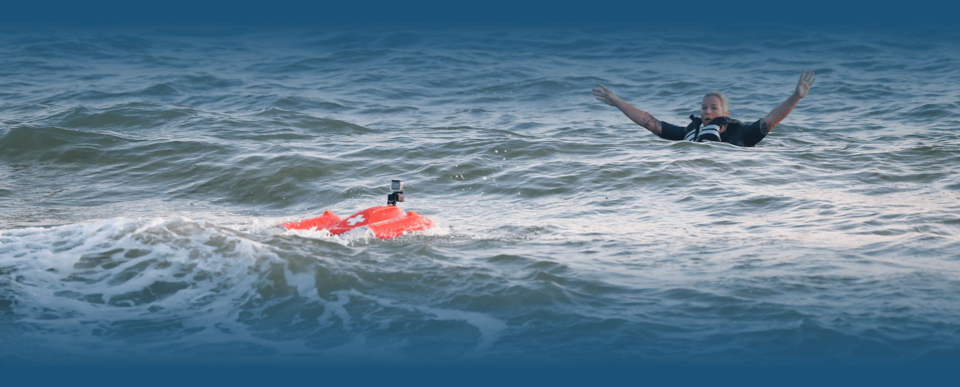 Dolphin1