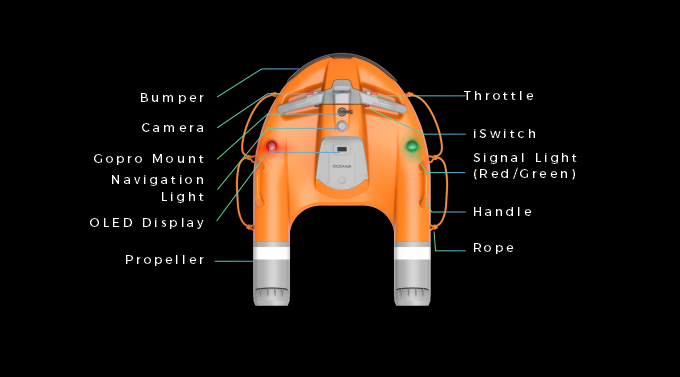 Dolphin 3 page with copywriting 03